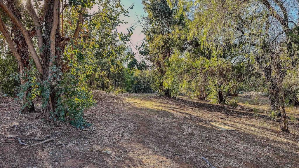 1002 Summer Glen Road Ramona, CA 92065 - Photo 28 of 40 a view of a yard with a tree