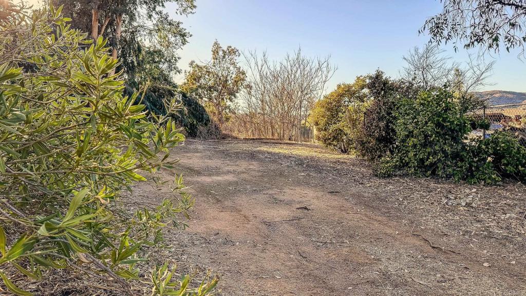 1002 Summer Glen Road Ramona, CA 92065 - Photo 35 of 40 a view of dirt field with trees in the background