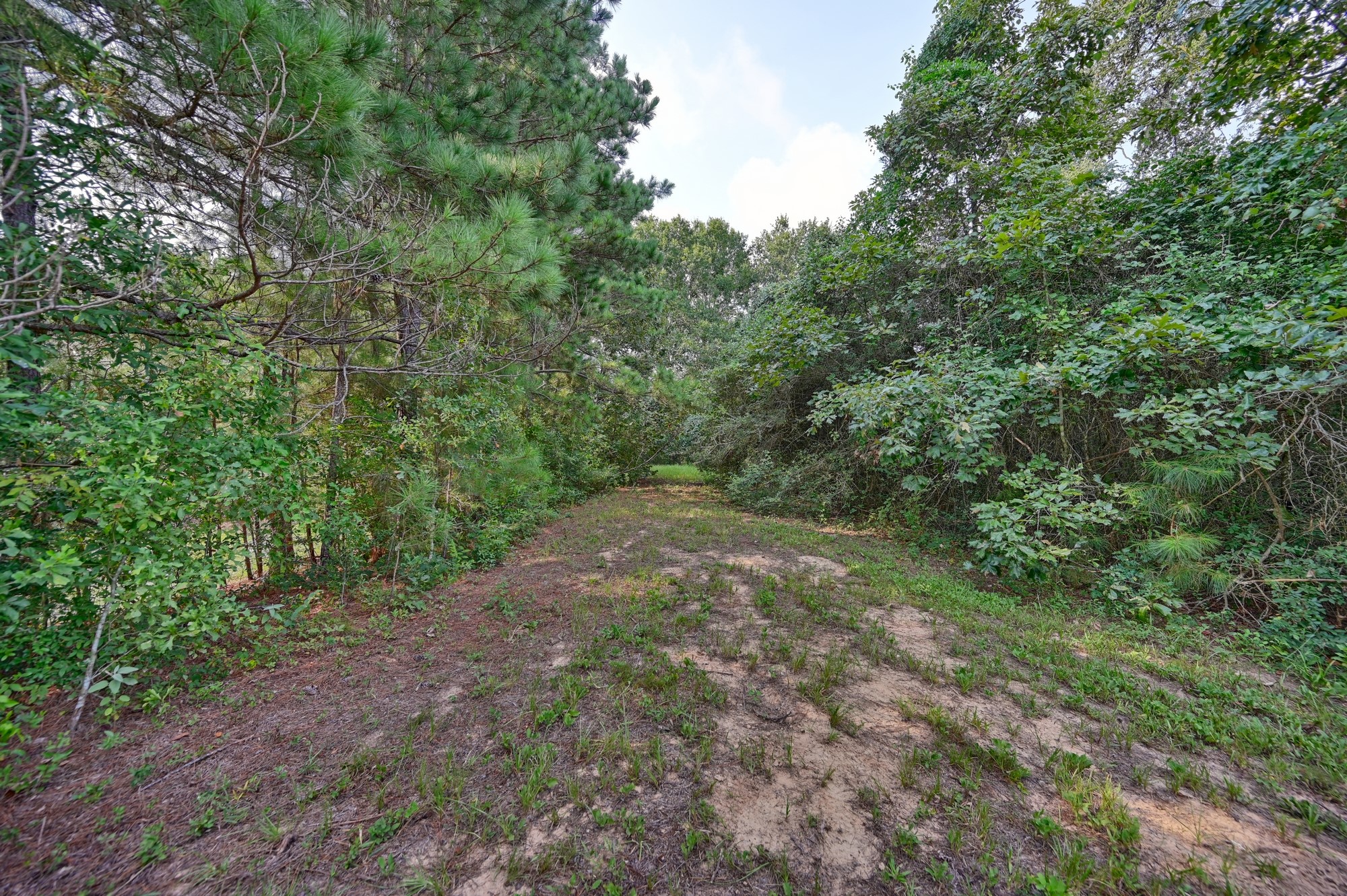 28322 Mellman Road Hempstead, TX 77445 - Photo 7 of 50 Bring your four wheeler or kubota.