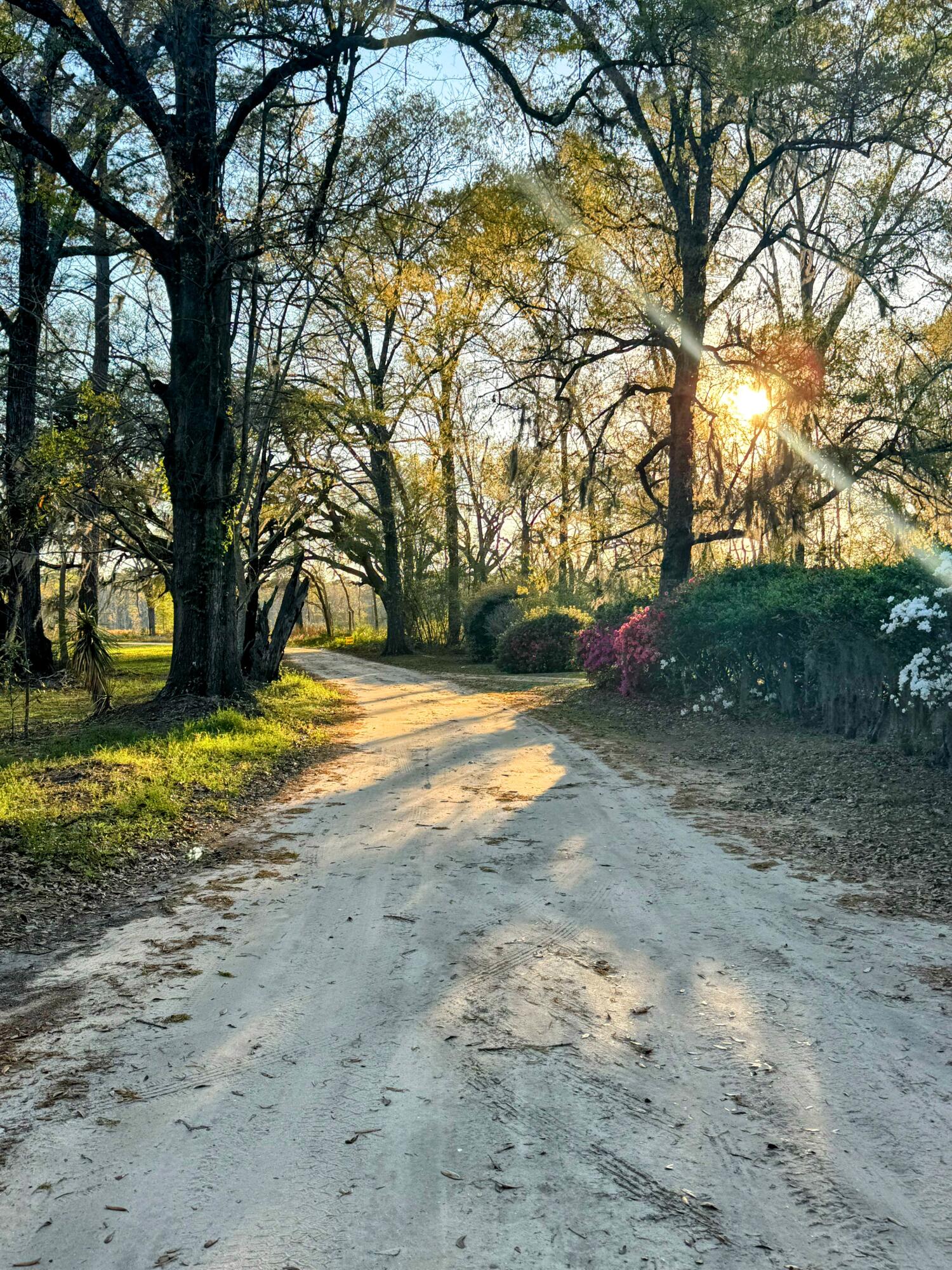 4836 Oak Willie Road Hollywood, SC 29449 - Photo 2 of 3 IMG_4970 Copy