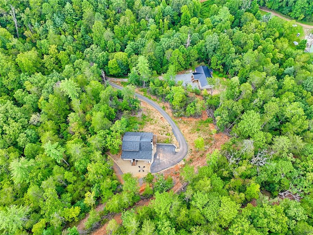 63 Redwood Lane Tiger, GA 30576 - Photo 3 of 77