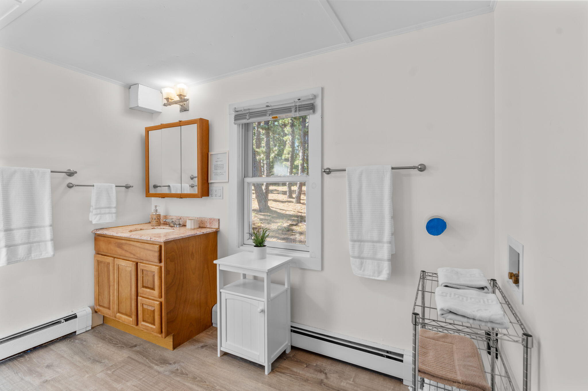 45 Indian Neck Road Wellfleet, MA 02667 - Photo 21 of 68 47-web-or-mls-45 Indian Neck Rd Hi res-1