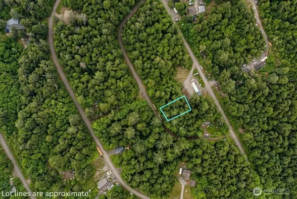 a map view of a lush green forest