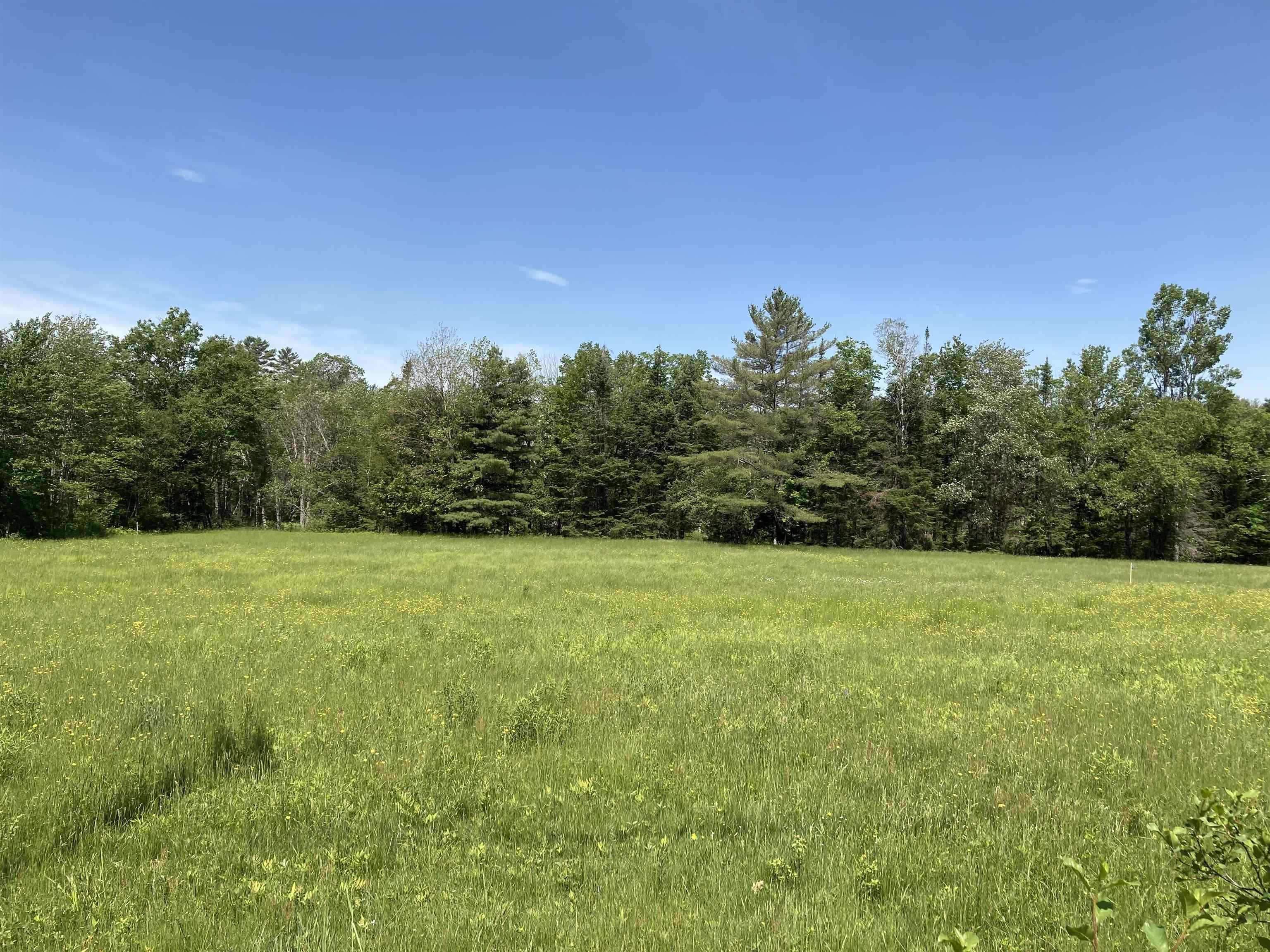 Goose Pond Road Canaan, NH 03741 - Photo 4 of 18 Gallery Image 4