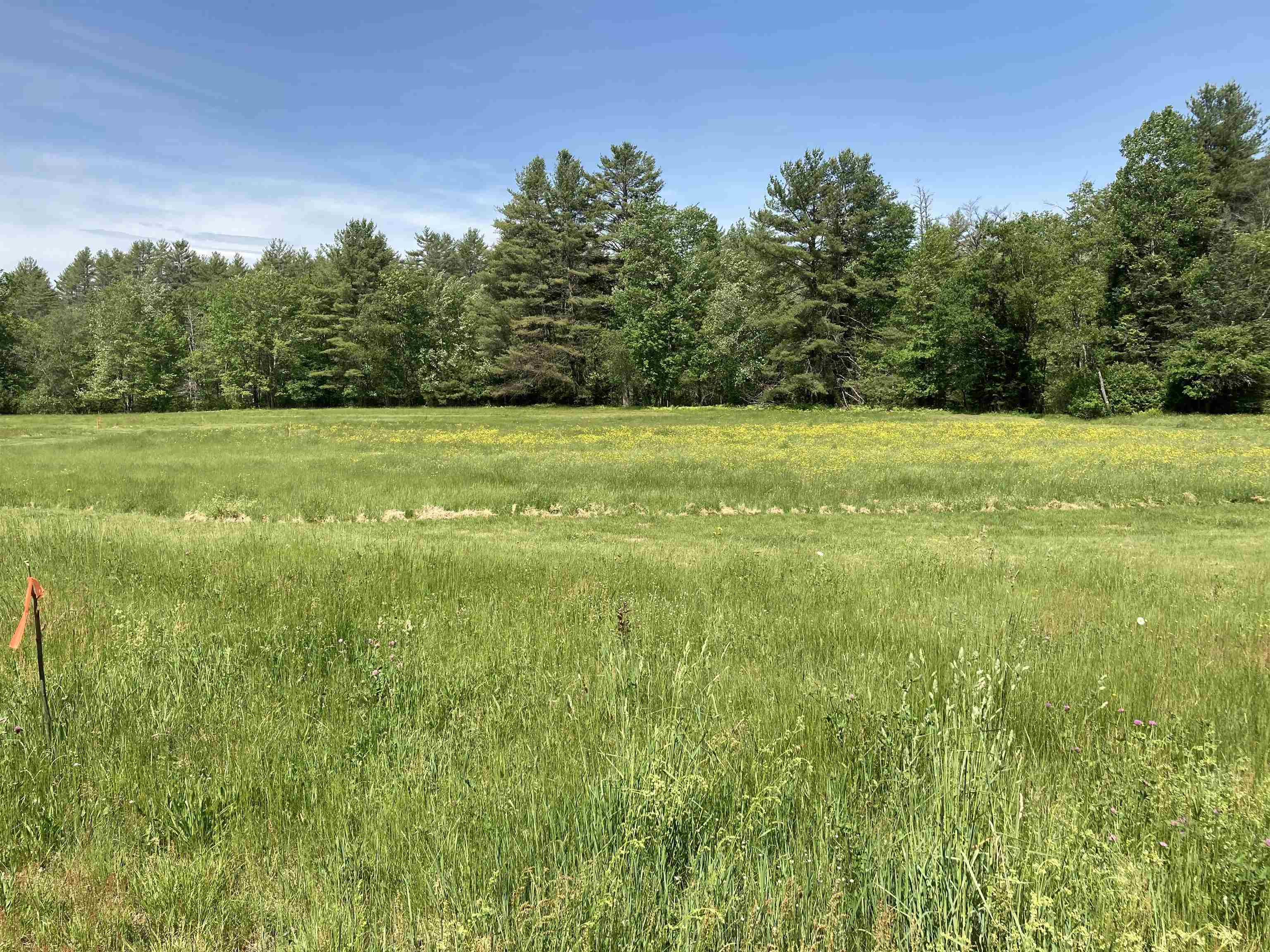 Goose Pond Road Canaan, NH 03741 - Photo 5 of 18 Gallery Image 5