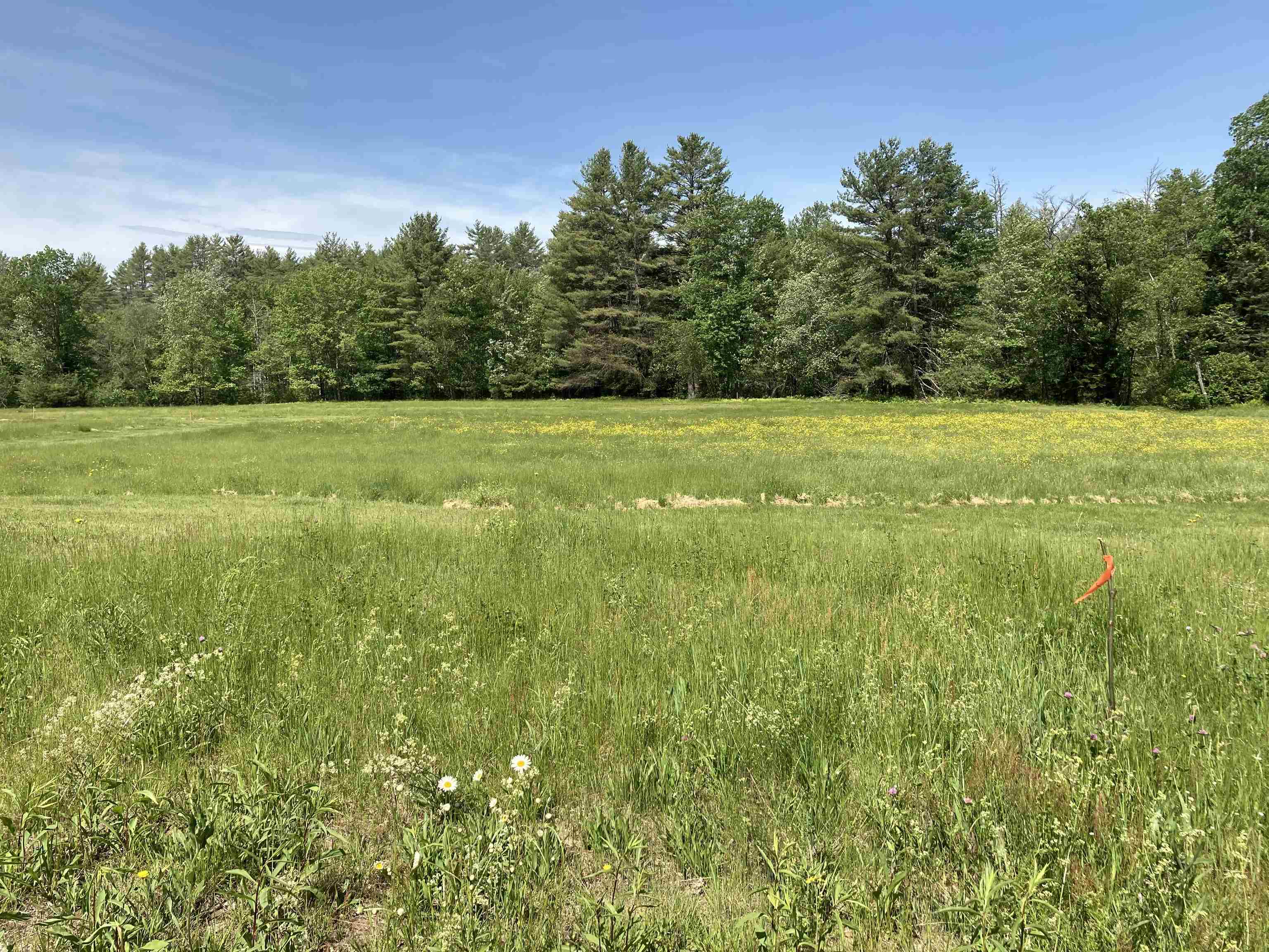 Goose Pond Road Canaan, NH 03741 - Photo 6 of 18 Gallery Image 6