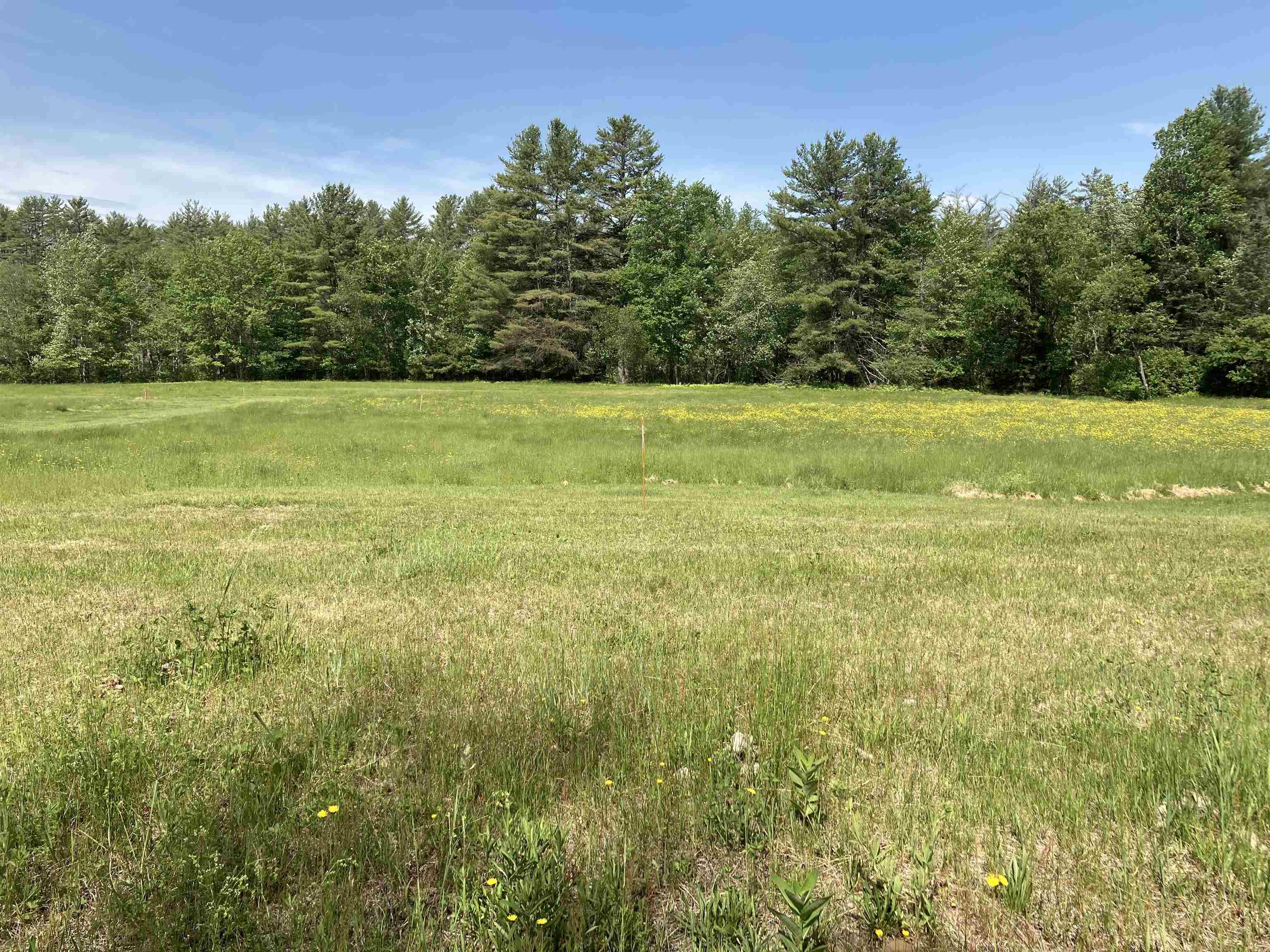 Goose Pond Road Canaan, NH 03741 - Photo 9 of 18 Gallery Image 9