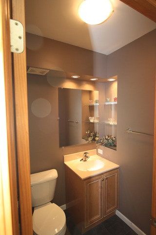 415 Rivers Edge Drive Minooka, IL 60447 - Photo 11 of 24 a bathroom with a sink and mirror with toilet