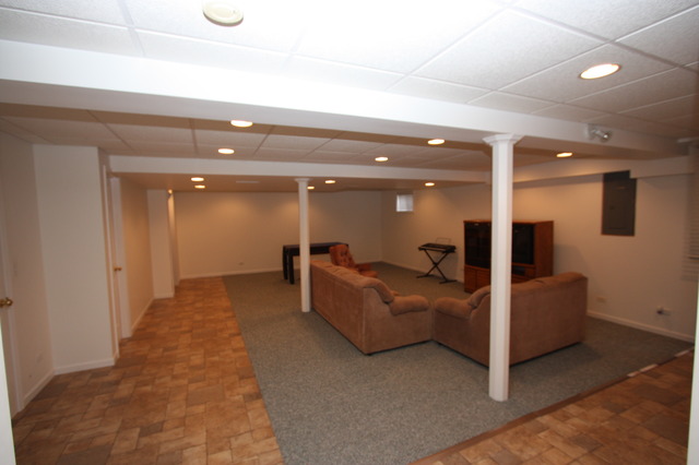 415 Rivers Edge Drive Minooka, IL 60447 - Photo 18 of 24 a view of living room with furniture and a rug