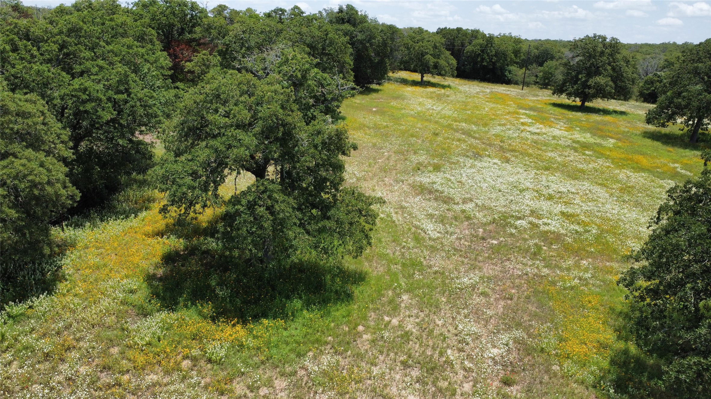 174 Wilson Road, Unit A Elgin, TX 78621 - Photo 29 of 34 a view of a yard with a tree