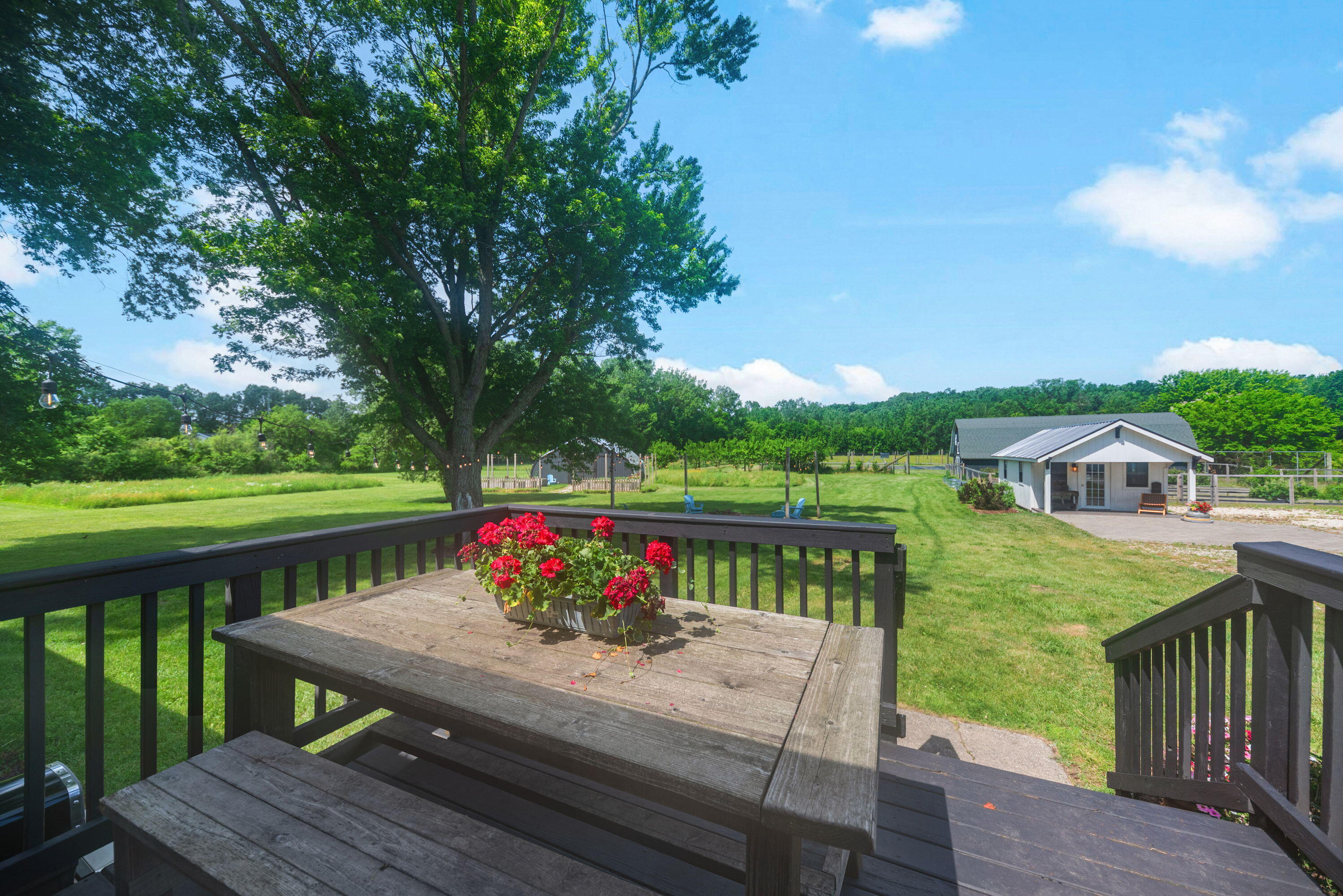 9962 Holden Road Baroda, MI 49101 - Photo 27 of 58 27_DavidYeeDDP_0628