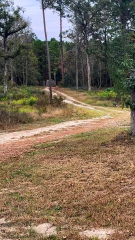 a view of a kitchen with a sink and a ceiling fan