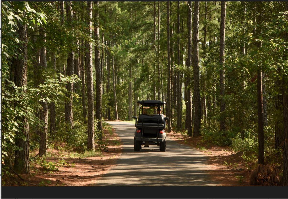 297 Shadybrook Drive Summerville, SC 29486 - Photo 12 of 14 SC Cane Bay Golf Trails 1