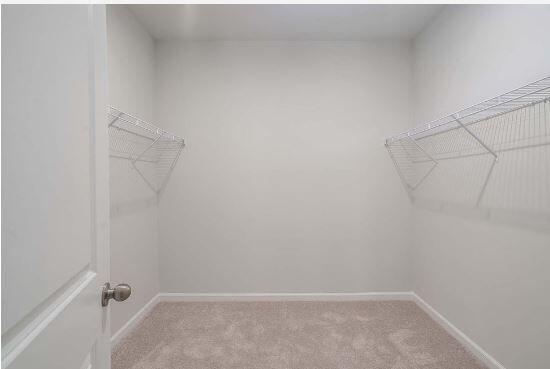 297 Shadybrook Drive Summerville, SC 29486 - Photo 9 of 14 Primary Walk In Closet