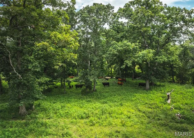 $695,000 | 25260 County Road 406, Bland, MO 65014