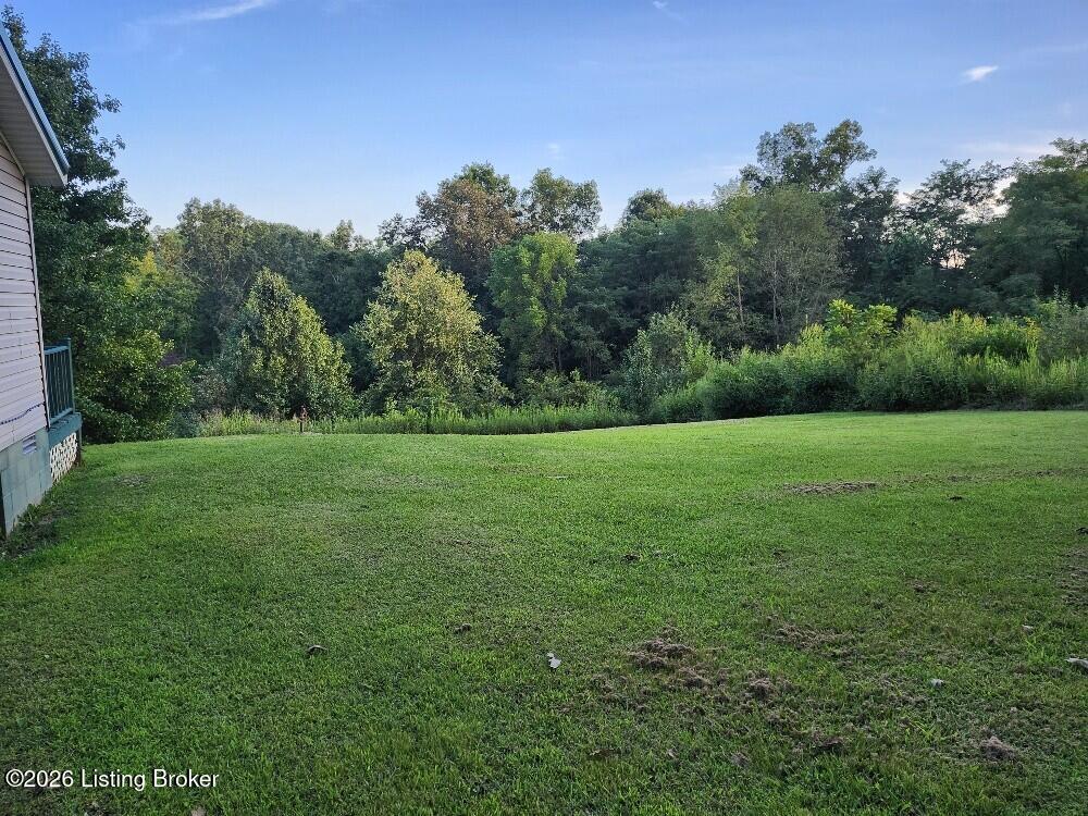 201 Briar Fork Road Sanders, KY 41083 - Photo 10 of 21 sideyard2