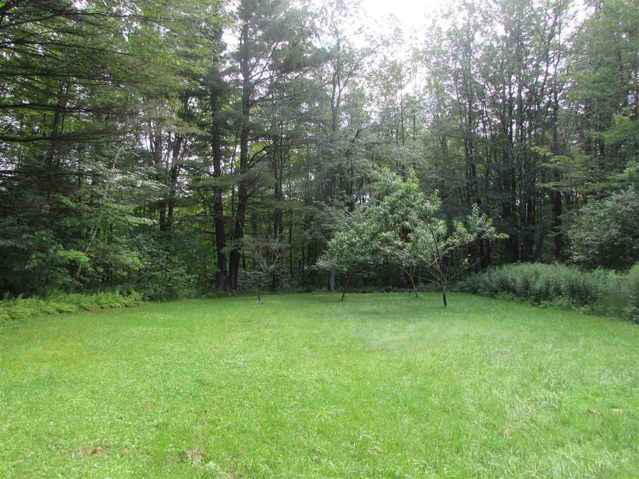 1078 Natural Turnpike Ripton, VT 05766 - Photo 3 of 14