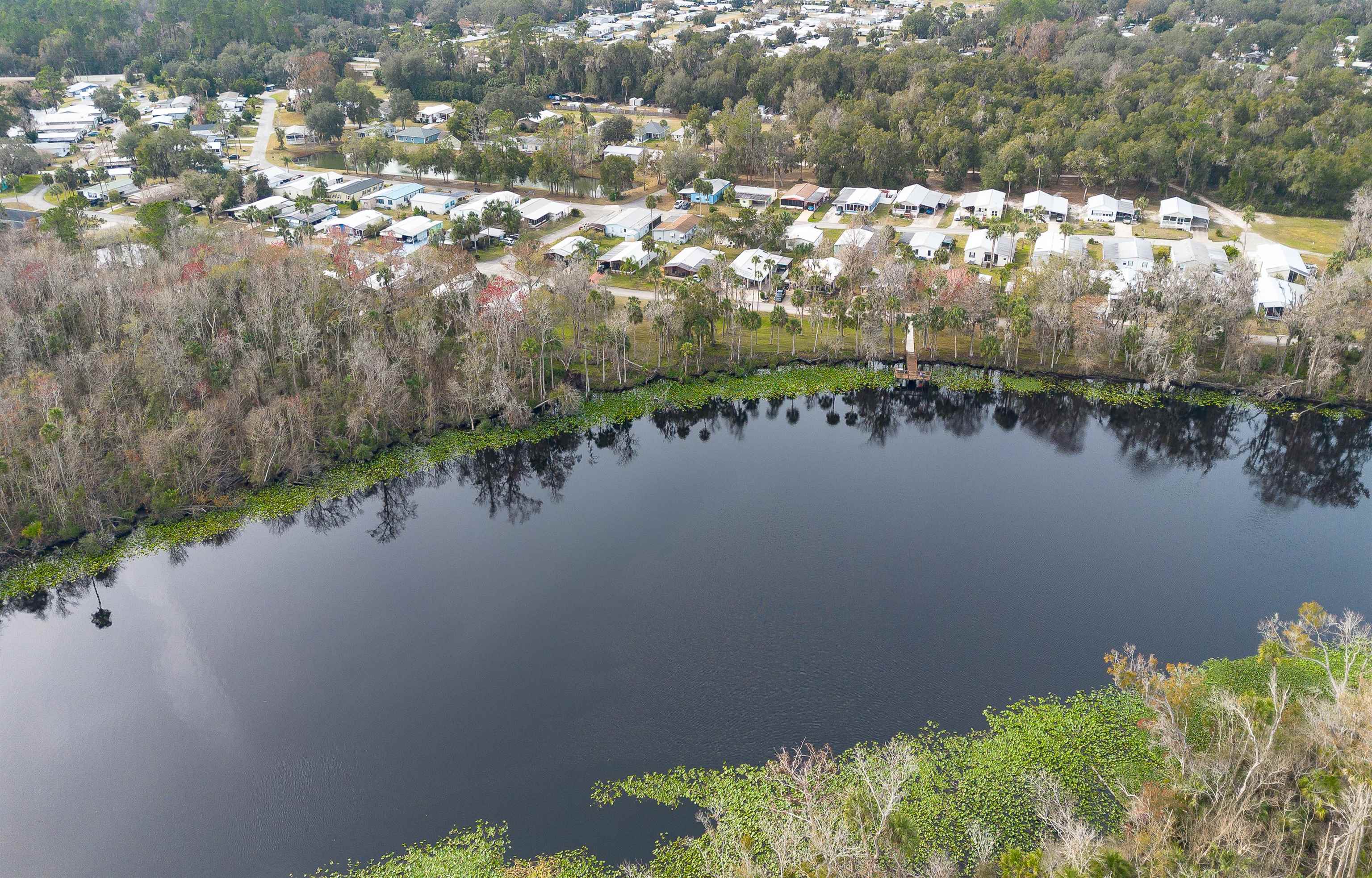 102 Pinelake Drive Satsuma, FL 32189 - Photo 22 of 35