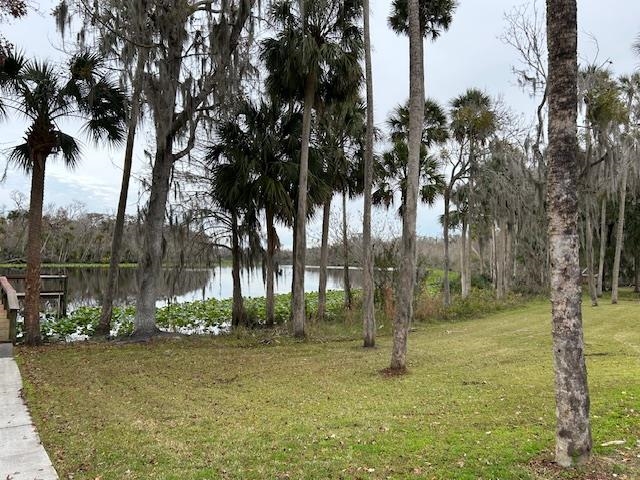 102 Pinelake Drive Satsuma, FL 32189 - Photo 33 of 35 a view of a park