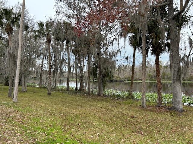 102 Pinelake Drive Satsuma, FL 32189 - Photo 34 of 35 a backyard of a house with lots of green space