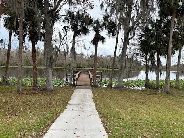 front view of a yard with palm trees