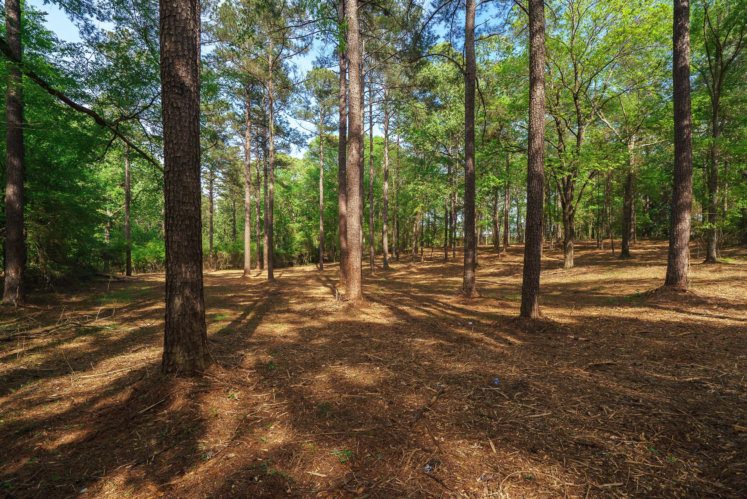 Lot 3 Banks Mill Road Southeast Aiken, SC 29803 - Photo 3 of 42