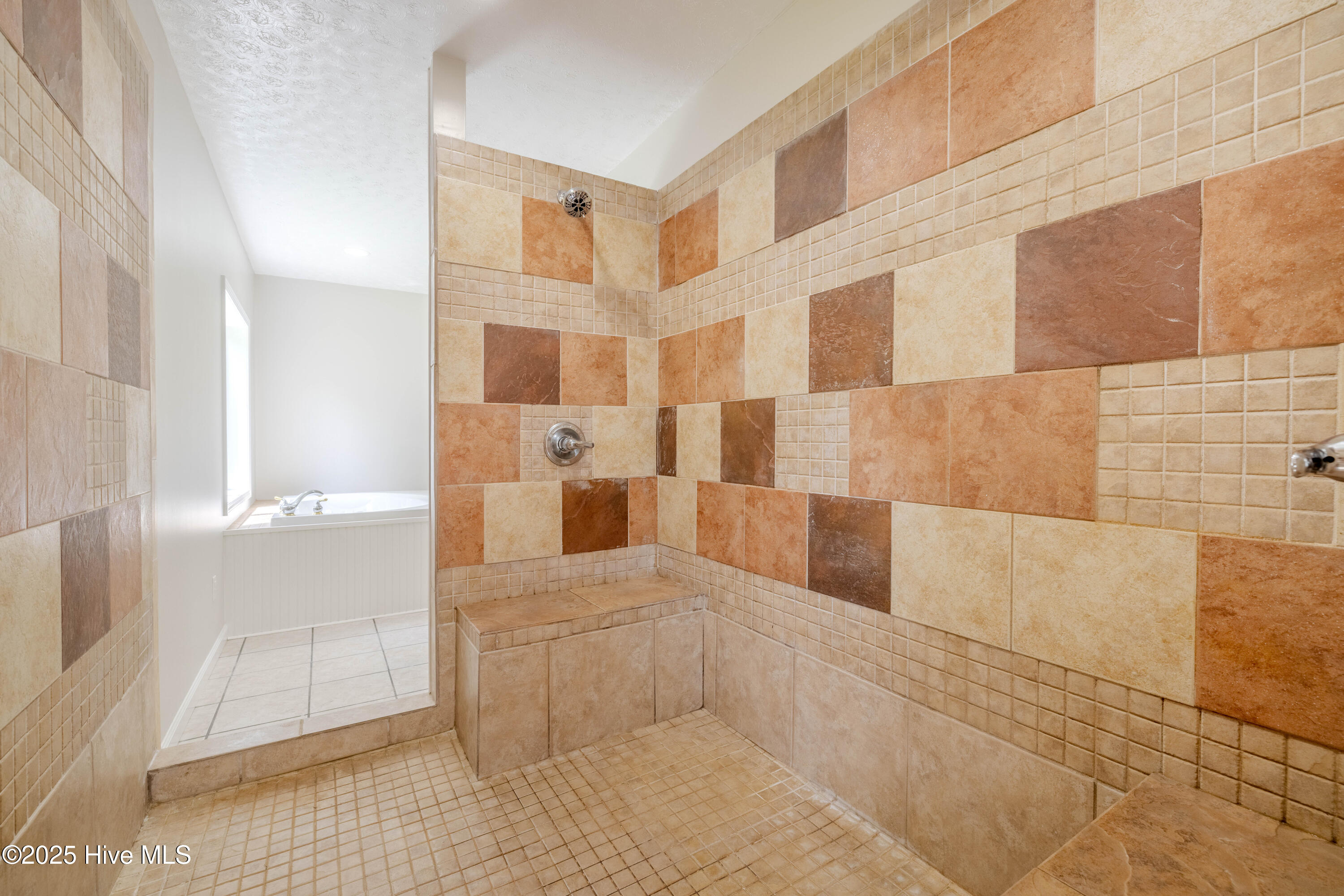 161 Howard Lane Swansboro, NC 28584 - Photo 50 of 56 Walk-in shower has two entrances