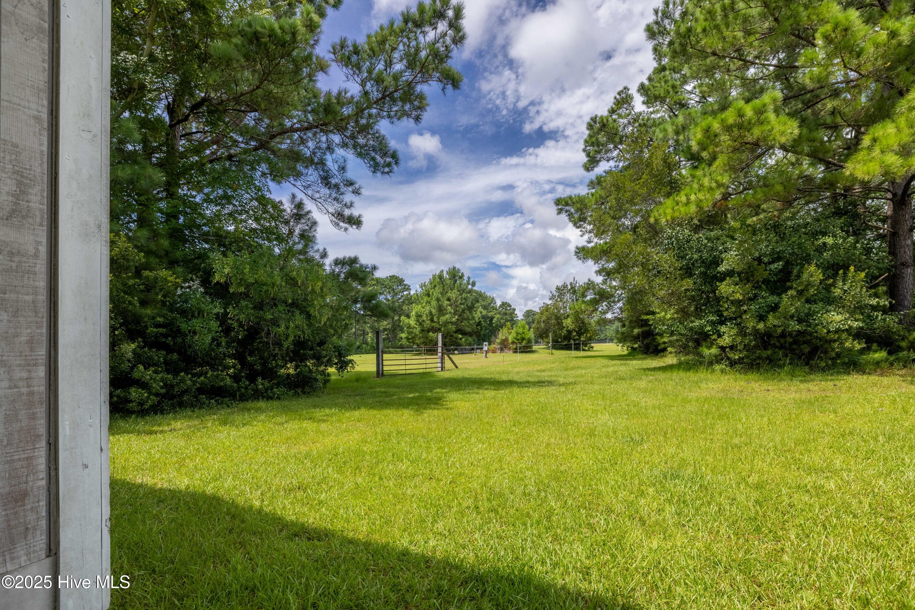 161 Howard Lane Swansboro, NC 28584 - Photo 53 of 56 161 Howard Lane-47