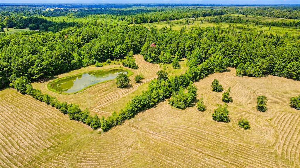 6500 River Road Lake Charles, LA 70615 - Photo 31 of 35 Second pond in the back fully stocked with fis and deer stands in the back!