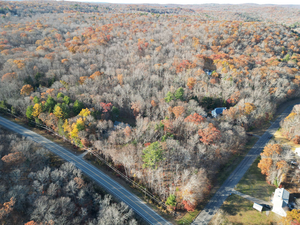 Middle Turnpike Storrs Mansfield, CT 06268 - Photo 1 of 15 a view of a tree with a yard