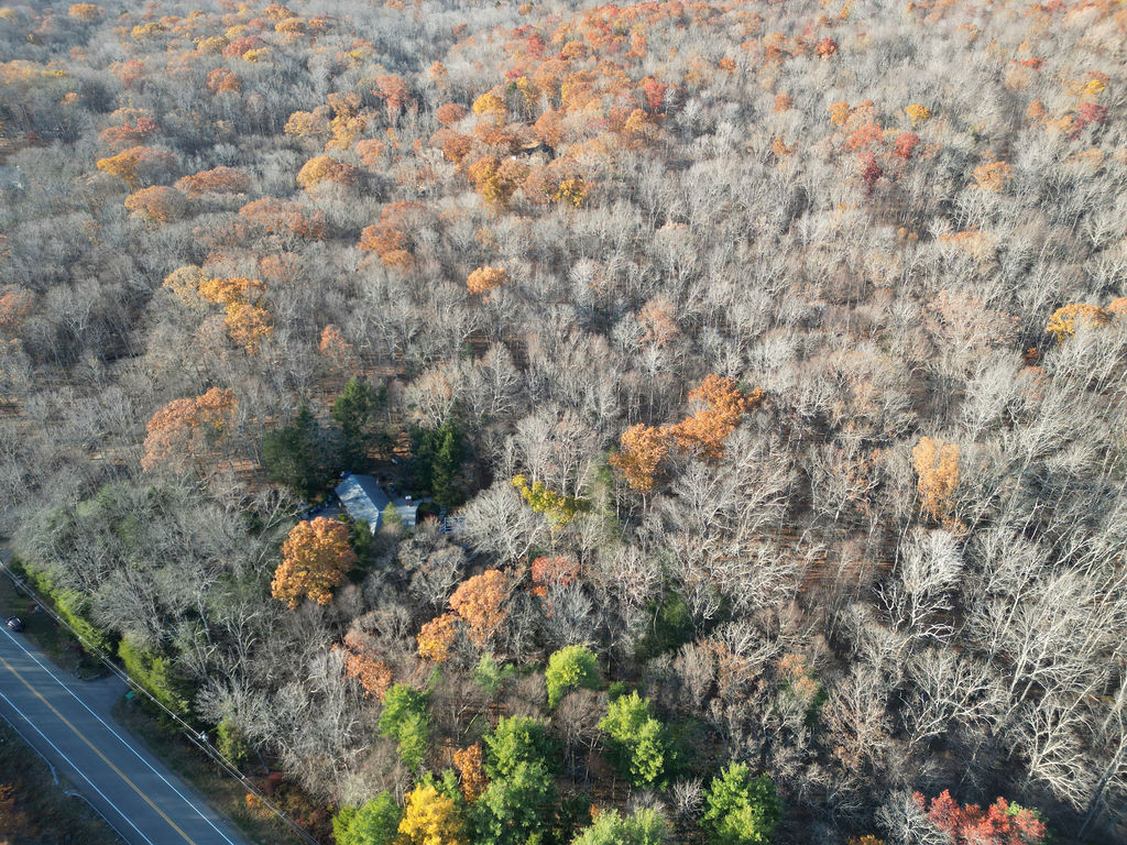 Middle Turnpike Storrs Mansfield, CT 06268 - Photo 2 of 15 a picture of tree