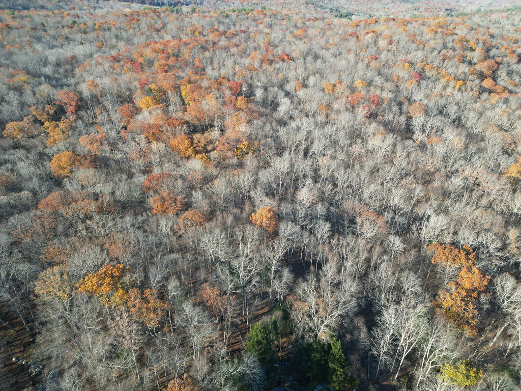 Middle Turnpike Storrs Mansfield, CT 06268 - Photo 3 of 15 a view of a dry yard