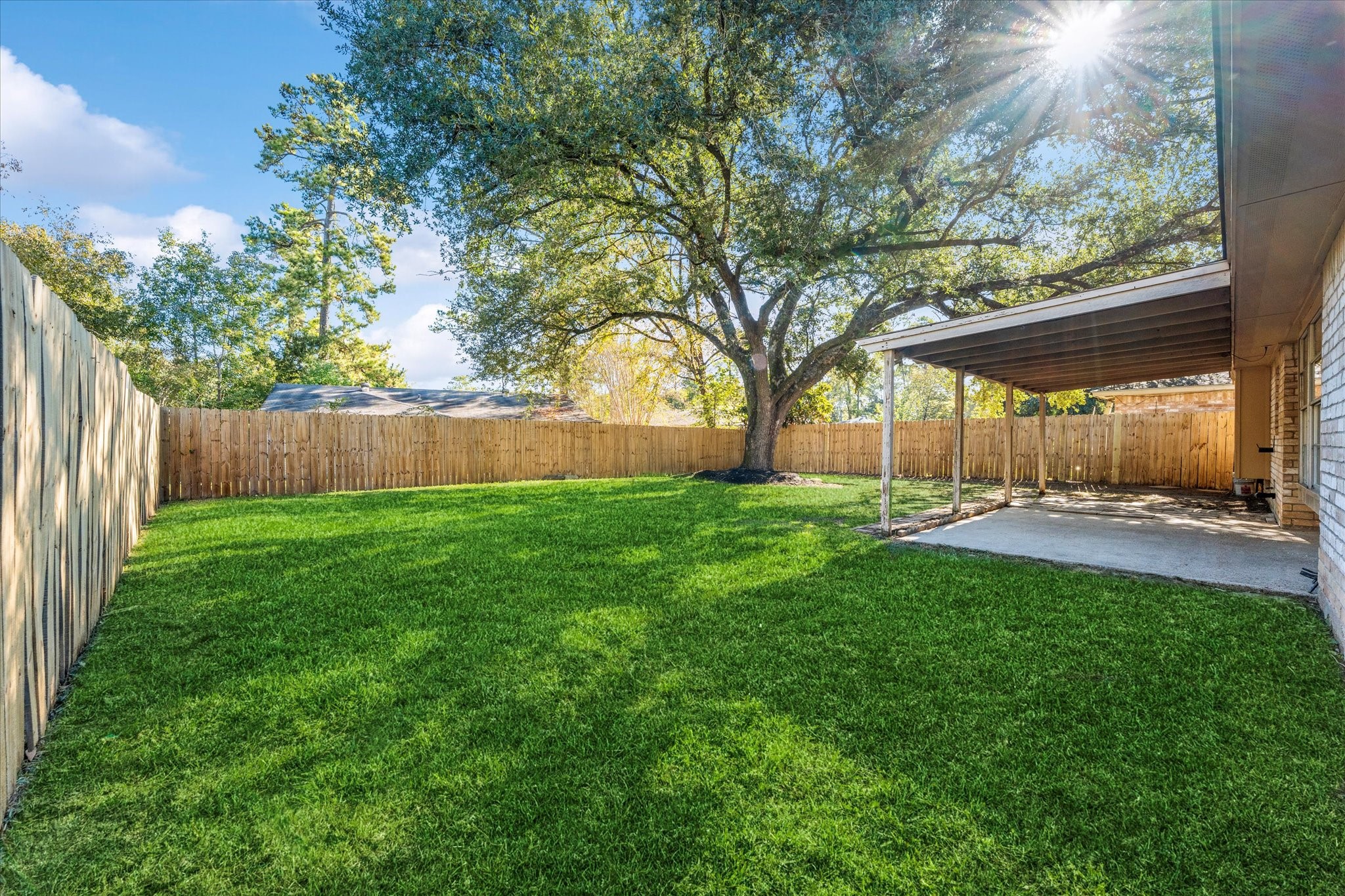 23122 Cimber Lane Spring, TX 77373 - Photo 23 of 25 a view of a backyard with large trees and wooden fence