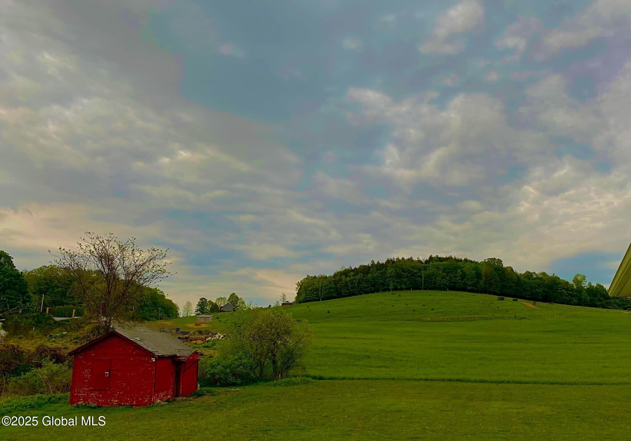 290 Borst Road Seward, NY 12043 - Photo 36 of 45 Borst - Meadow