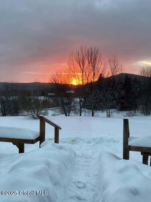 290 Borst Road Seward, NY 12043 - Photo 37 of 45 Borst - Sunrise