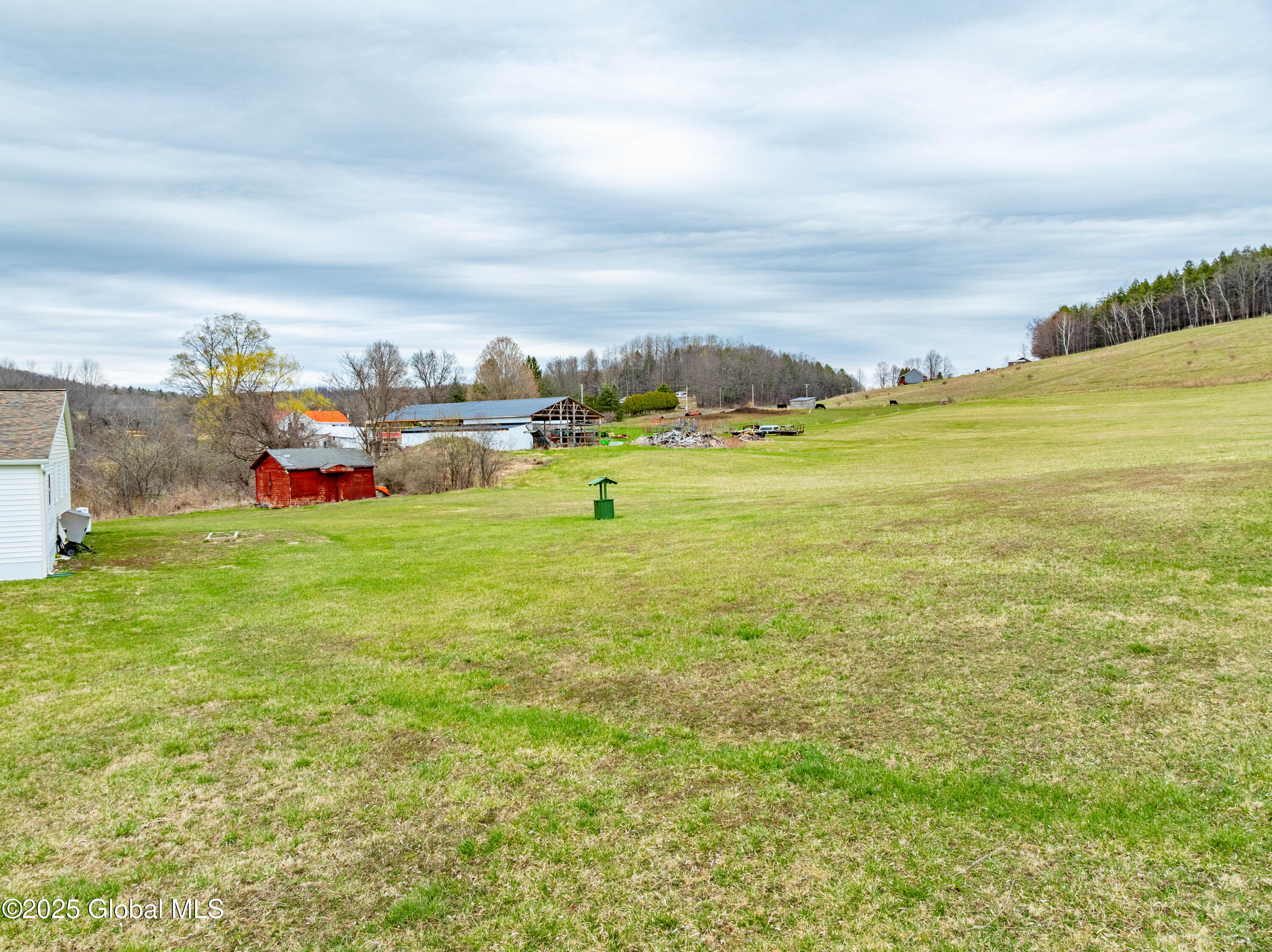 290 Borst Road Seward, NY 12043 - Photo 43 of 45 DJI_0976-HDR