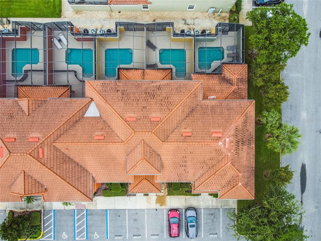 8841 Candy Palm Road Kissimmee, FL 34747 - Photo 47 of 49 an aerial view of a house with a yard and potted plants