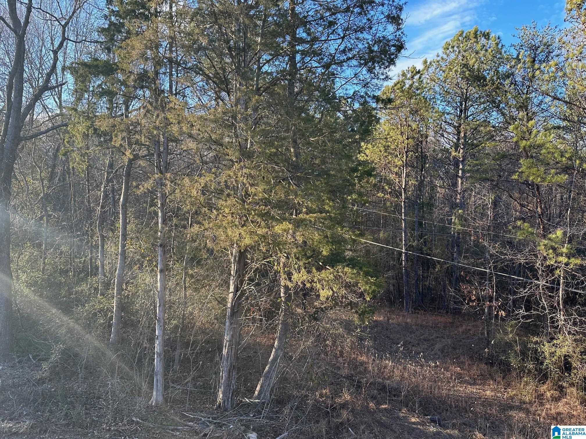 196 Nichols Road Leeds, AL 35094 - Photo 14 of 15