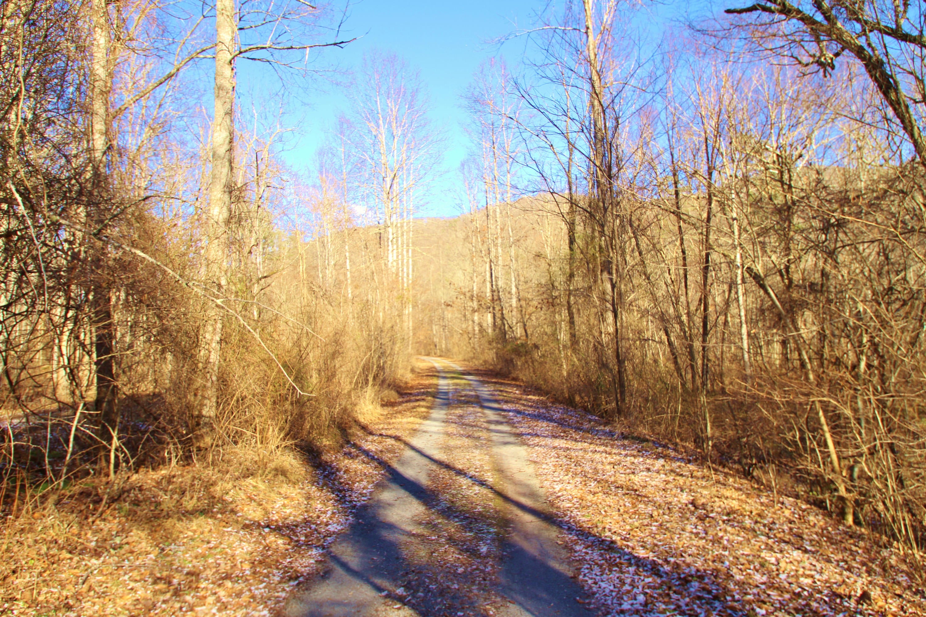 30-2 Co Route Lewisburg, WV 24901 - Photo 13 of 19 Gallery Image 13