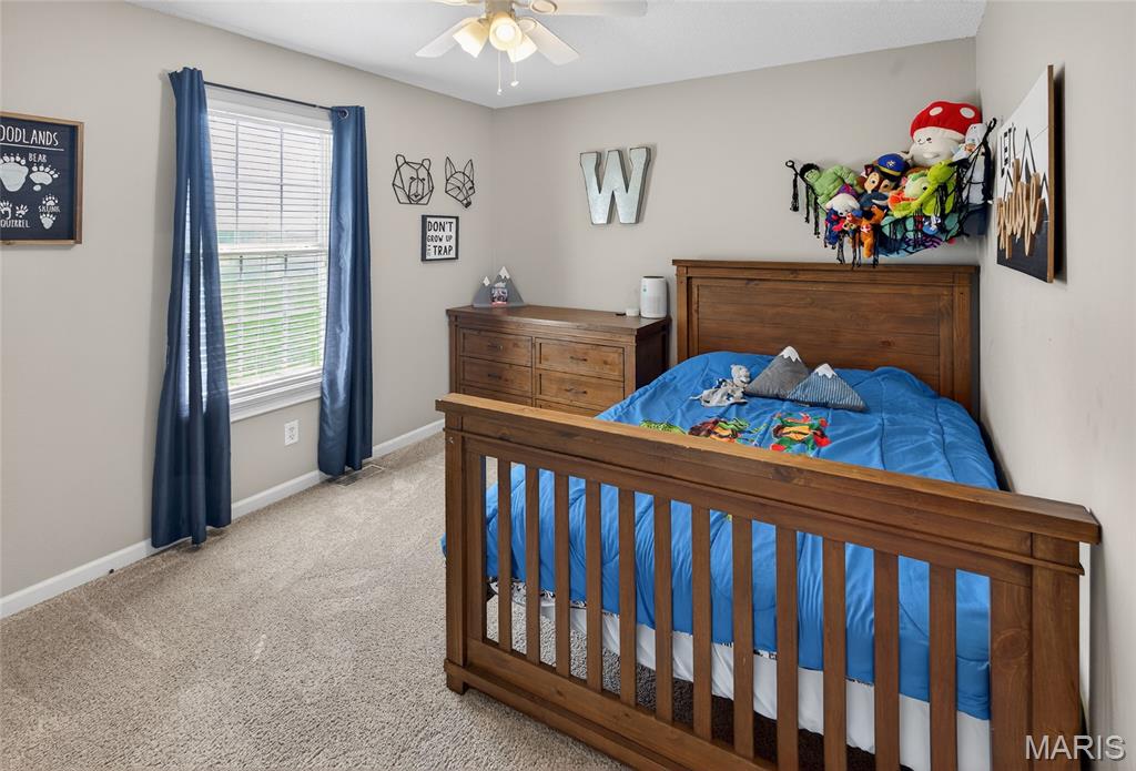 111 Paul Dow Road Oak Ridge, MO 63769 - Photo 21 of 62