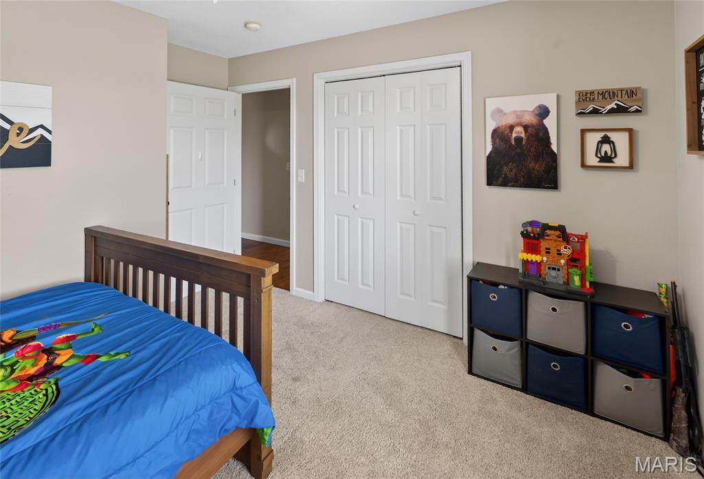 111 Paul Dow Road Oak Ridge, MO 63769 - Photo 22 of 62