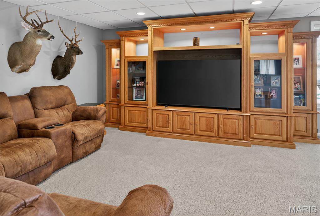 111 Paul Dow Road Oak Ridge, MO 63769 - Photo 29 of 62