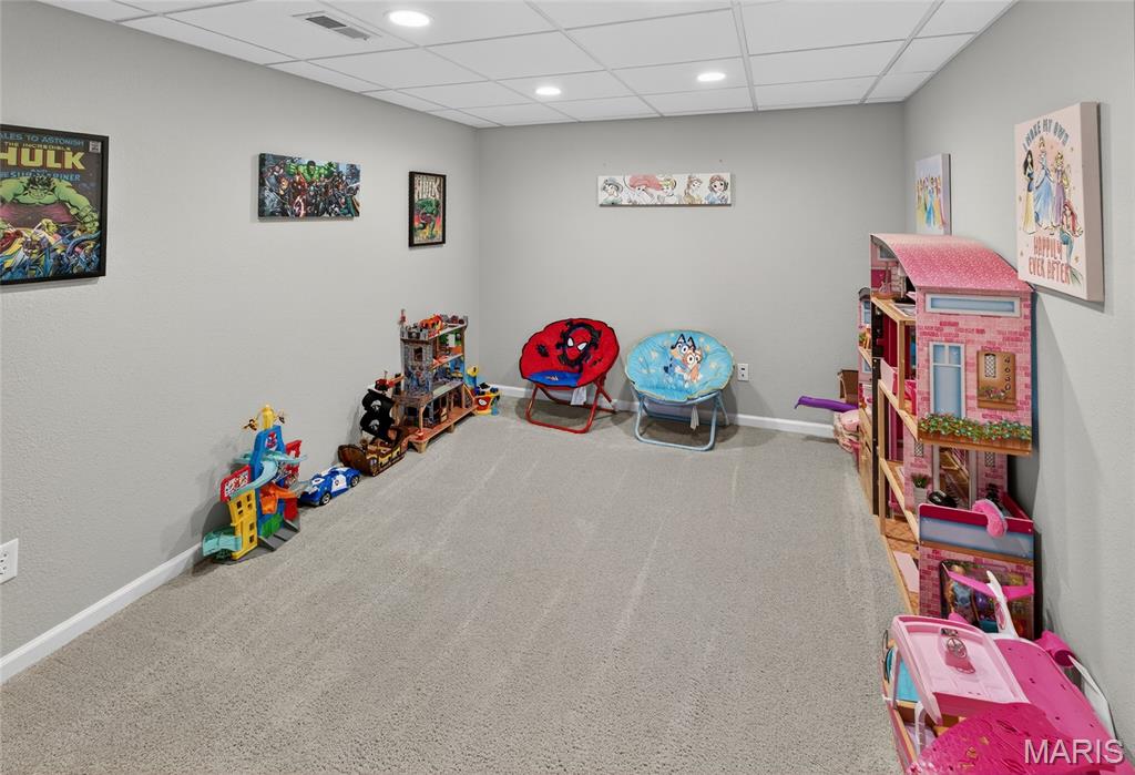 111 Paul Dow Road Oak Ridge, MO 63769 - Photo 35 of 62