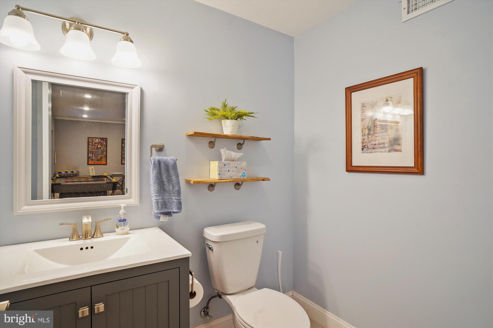11776 Ridgeway Drive Monrovia, MD 21770 - Photo 54 of 73 Lower Powder Room