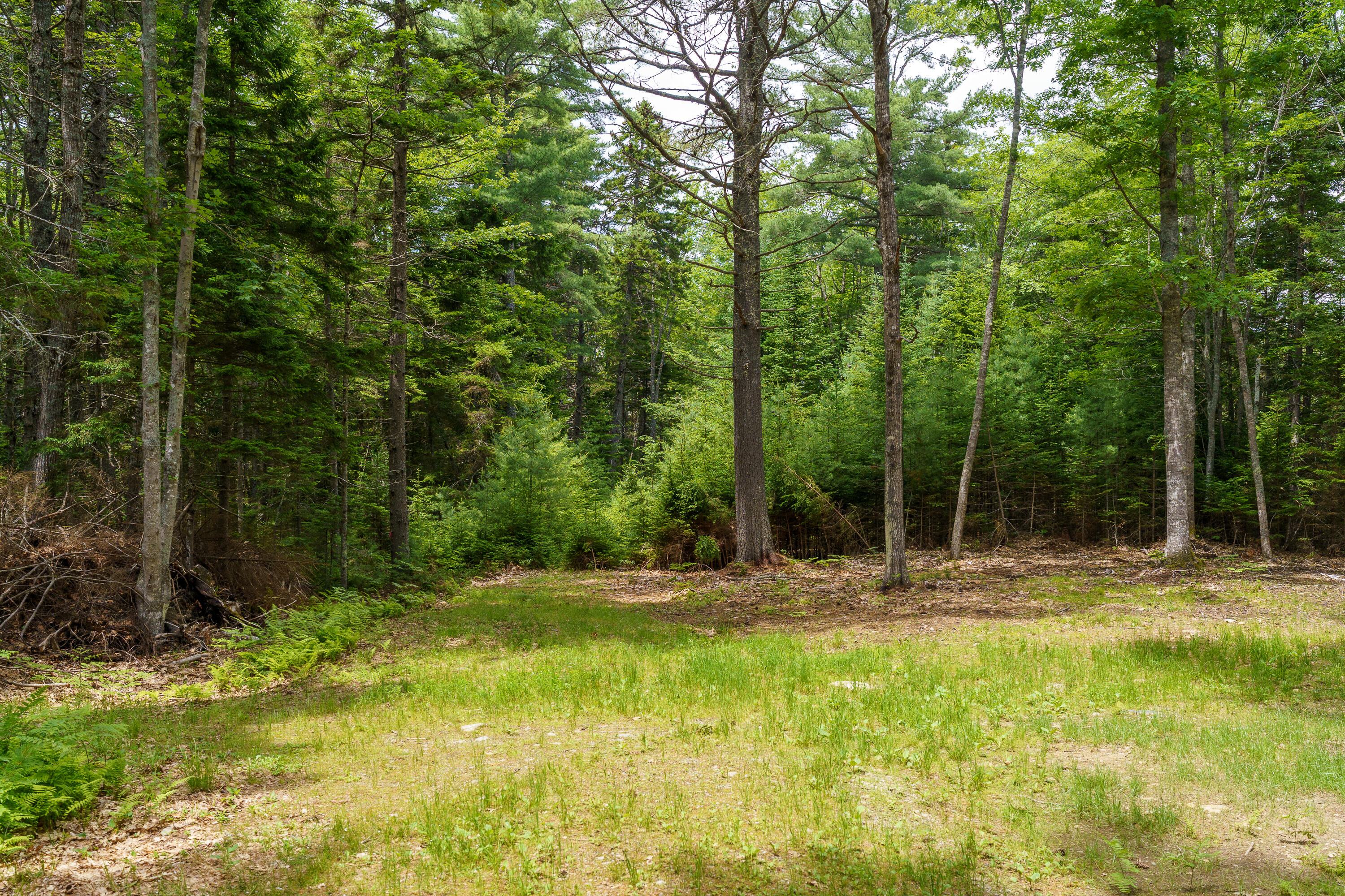 205 Steves Road Boothbay, ME 04537 - Photo 8 of 17 205 Steves Rd. Boothbay-20