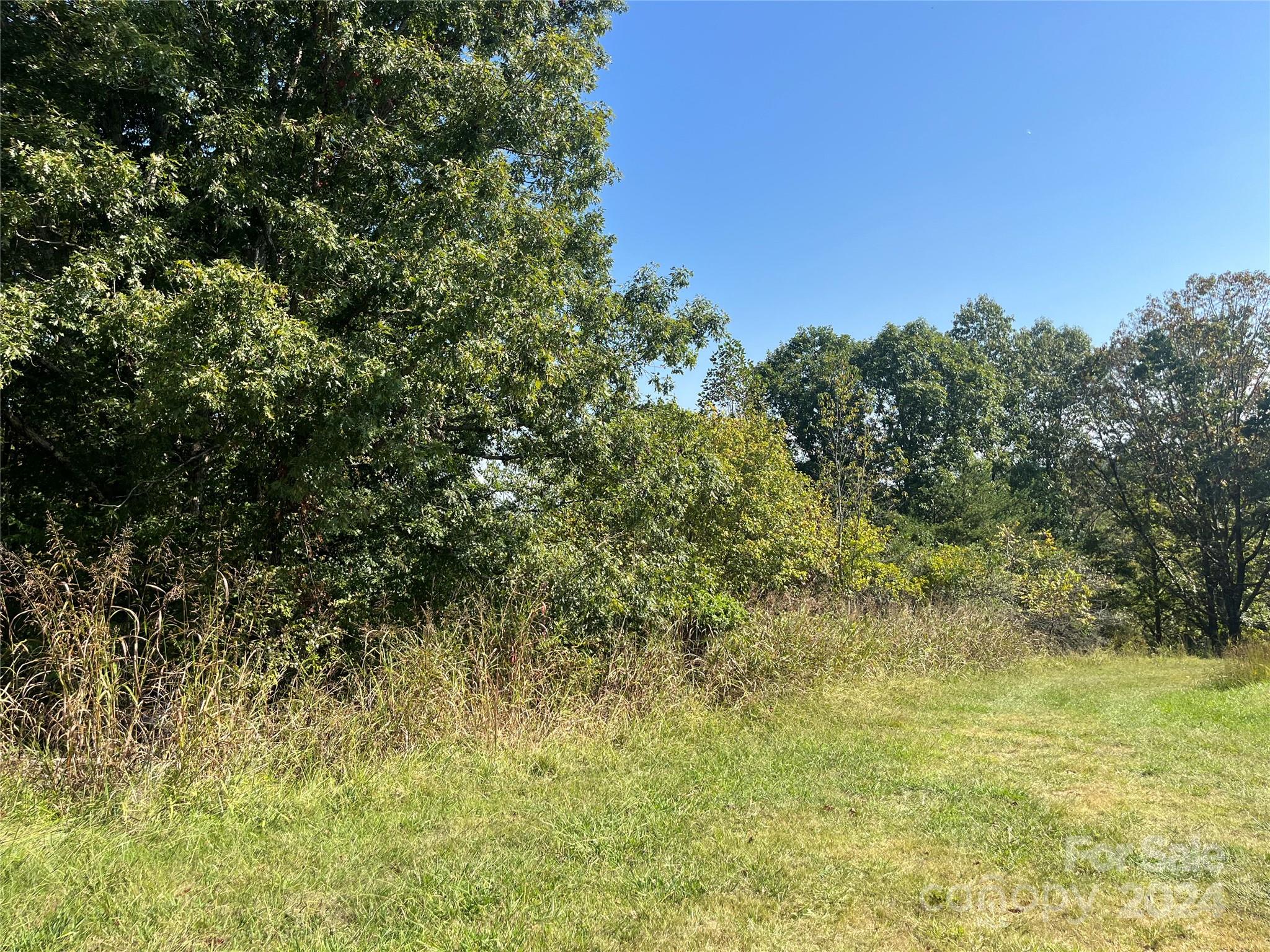 Tbd Firefly Ridge Trail, Unit 5 Alexander, NC 28701 - Photo 2 of 5 a view of a yard with a tree