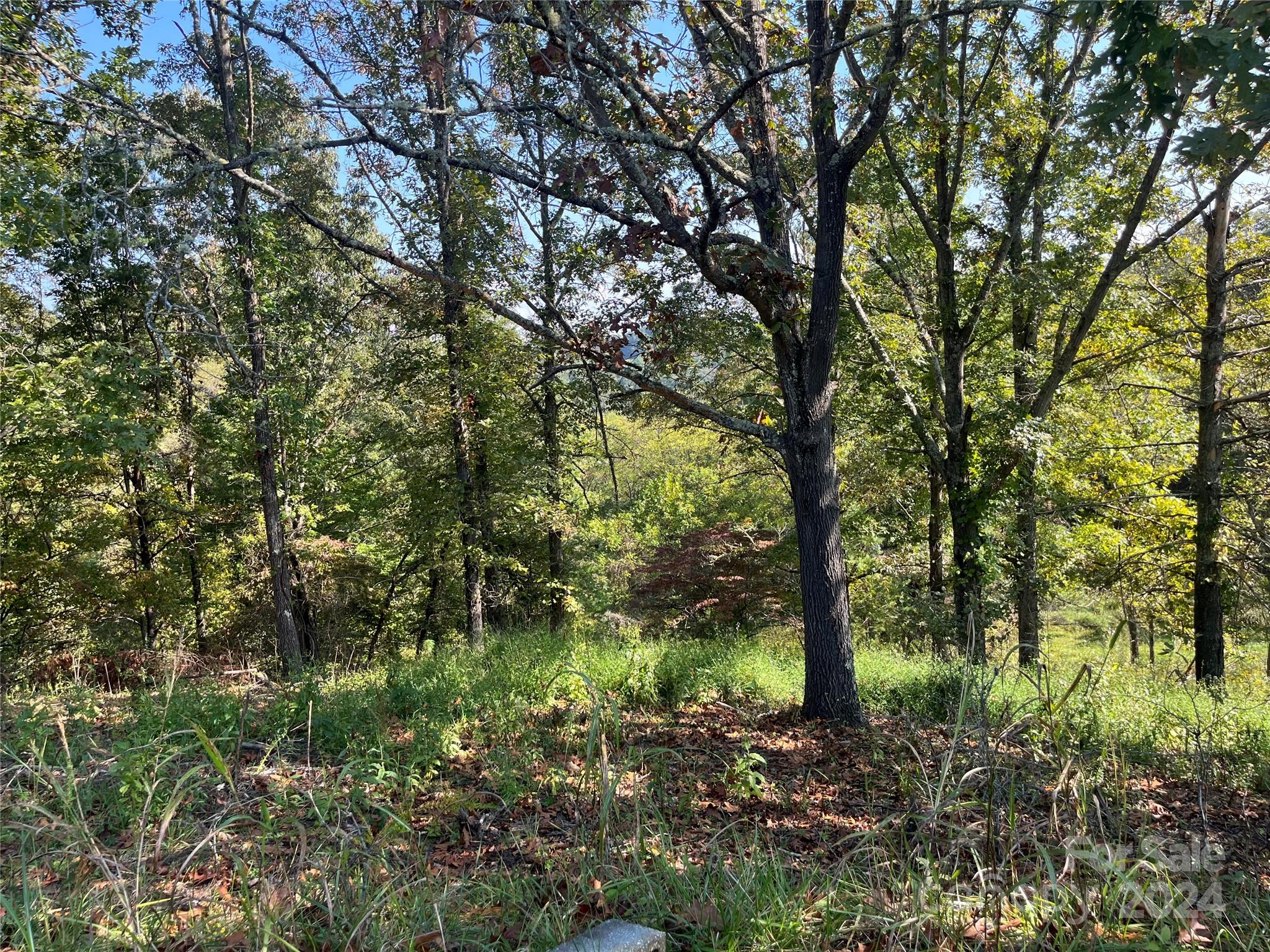 Tbd Firefly Ridge Trail, Unit 5 Alexander, NC 28701 - Photo 3 of 5 a backyard of a house with lots of green space
