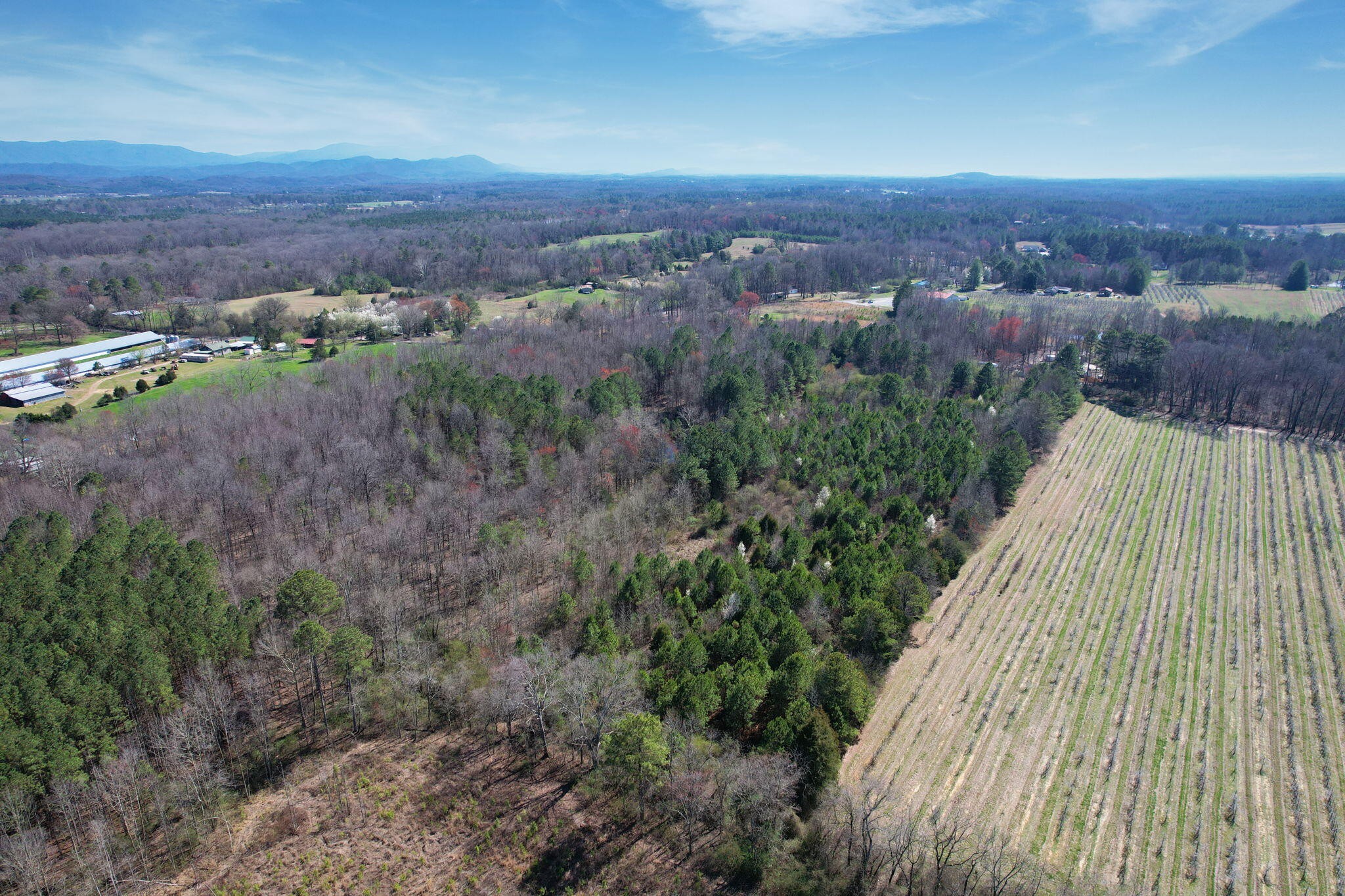 0 Southeast Branam Road Old Fort, TN 37362 - Photo 7 of 17 Gallery Image 7