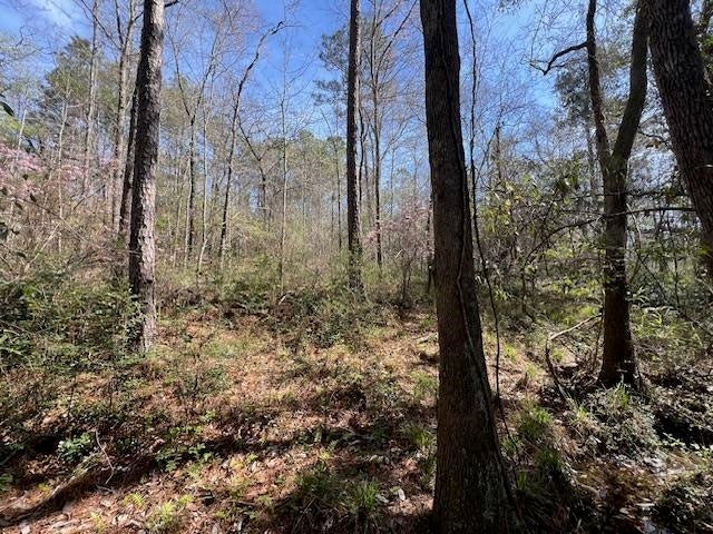 18-ac Potter Road Opp, AL 36467 - Photo 8 of 12 Gallery Image 8