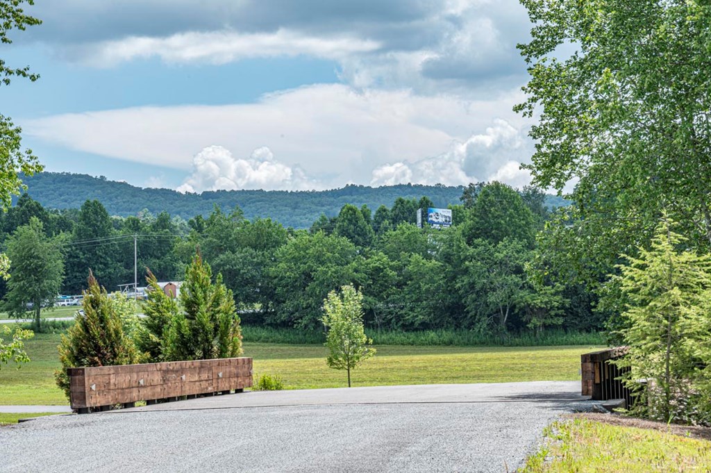 151 The Ridges Morganton, GA 30560 - Photo 5 of 35 Main Community Road to The Ridges of Blue Ridge